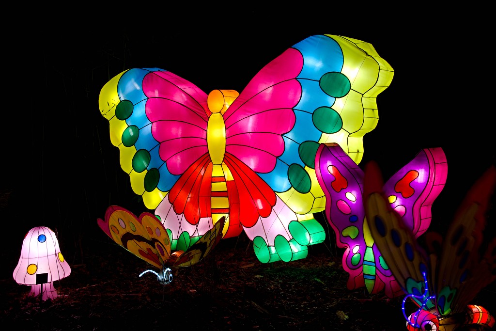 china light licht festival lichtshow show festiviteit glow evenement event chinees chinese verlichting draak dragon lichtfestival zoo